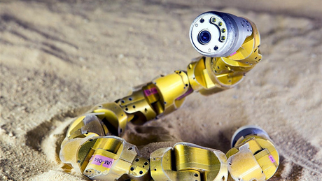 BIO-INSPIRED SENSORS AND THEIR DISRUPTIVE POTENTIAL